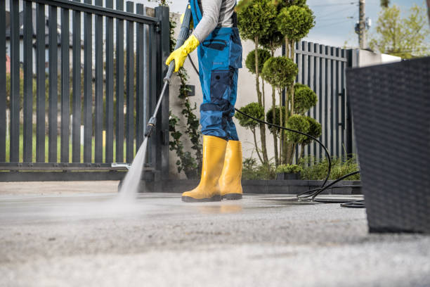 Best Solar Panel Cleaning  in Roslyn Estates, NY